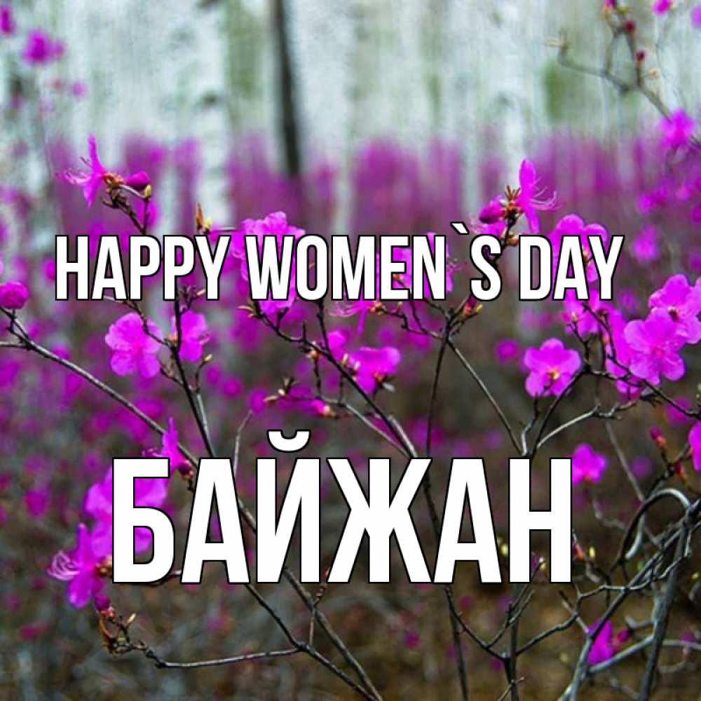 Greetings card с именем, Байжан happy women`s day дикие цветы Greetings with text for free download 